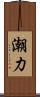 潮力 Scroll