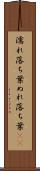 濡れ落ち葉 Scroll