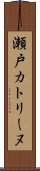 瀬戸カトリーヌ Scroll