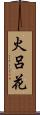 火呂花 Scroll