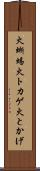 火蜥蜴 Scroll