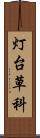 灯台草科 Scroll