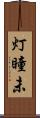 灯瞳未 Scroll