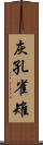 灰孔雀雉 Scroll