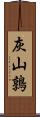 灰山鶉 Scroll