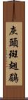 灰頭斑翅鶥 Scroll