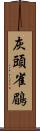 灰頭雀鶥 Scroll