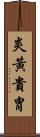 炎黃貴胄 Scroll