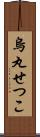 烏丸せつこ Scroll