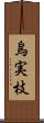 烏実枝 Scroll