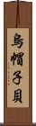 烏帽子貝 Scroll