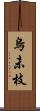 烏未枝 Scroll