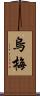 烏梅 Scroll