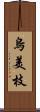 烏美枝 Scroll