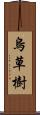 烏草樹 Scroll