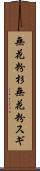 無花粉杉 Scroll