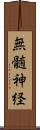 無髄神経 Scroll