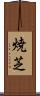 焼芝 Scroll