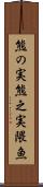 熊の実 Scroll