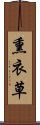 熏衣草 Scroll