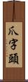 爪字頭 Scroll