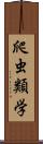 爬虫類学 Scroll