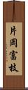 片岡富枝 Scroll