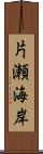 片瀬海岸 Scroll