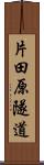 片田原隧道 Scroll