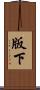 版下 Scroll