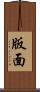 版面 Scroll