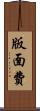 版面費 Scroll