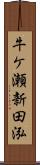 牛ケ瀬新田泓 Scroll