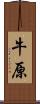 牛原 Scroll