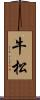牛松 Scroll