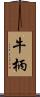 牛柄 Scroll
