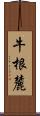 牛根麓 Scroll