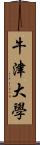 牛津大學 Scroll