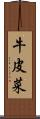 牛皮菜 Scroll