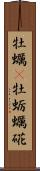 牡蠣(P) Scroll