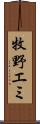 牧野エミ Scroll