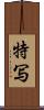 特写 Scroll