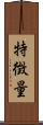 特徴量 Scroll