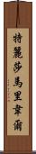 Teresa Maribel Scroll