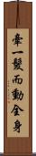 牽一髮而動全身 Scroll