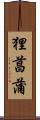 狸菖蒲 Scroll