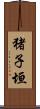猪子垣 Scroll