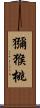 獼猴桃 Scroll