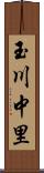 玉川中里 Scroll