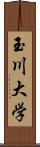玉川大学 Scroll